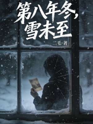 第八年冬，雪未至